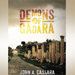 John Cassara: Author of Demons of Gadara