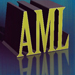 AML Reflections and Projections: No Laughing Matter