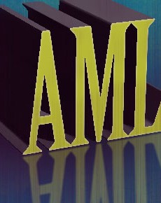 AML Reflections, ACAMSTODAY