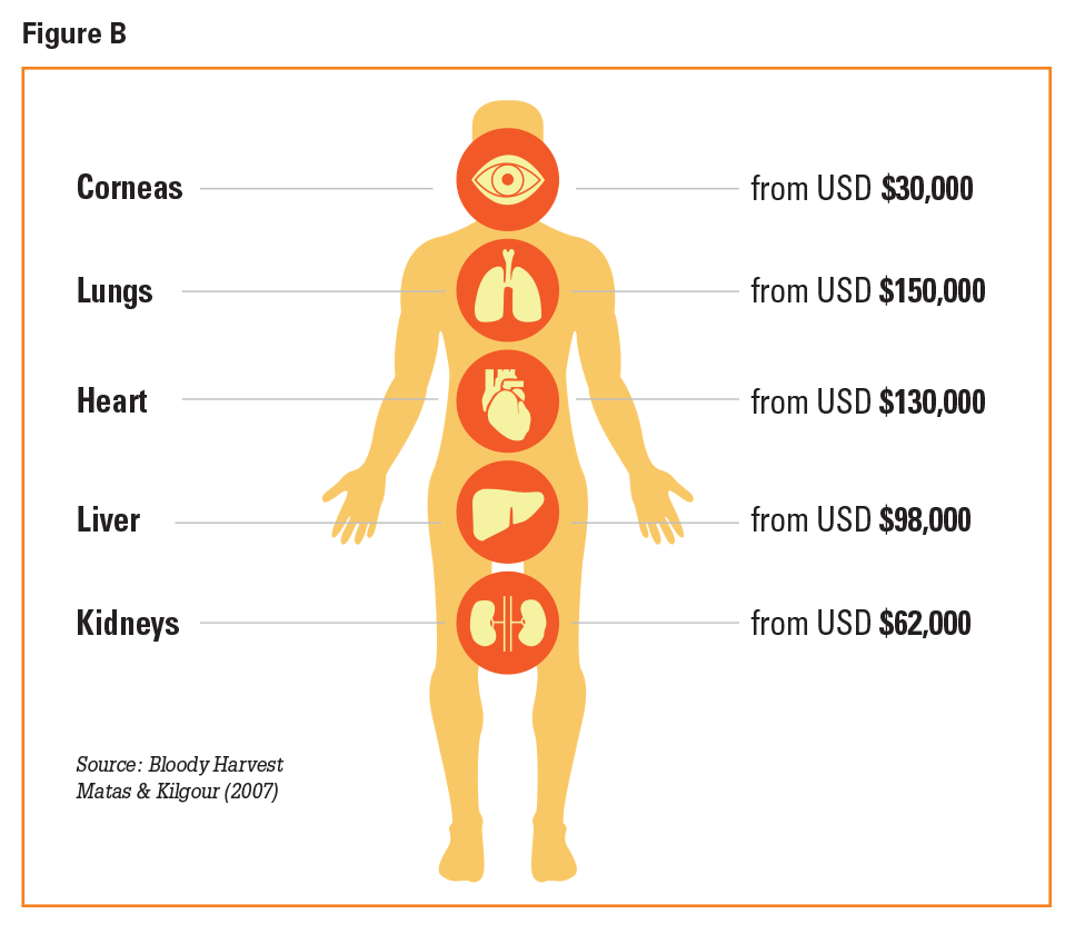 Organ Identification Chart