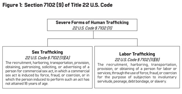 Figure 1: Section 7102 (9) of Title 22 U.S. Code