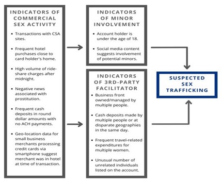 Figure 3: Suspected Sex Trafficking Indicators