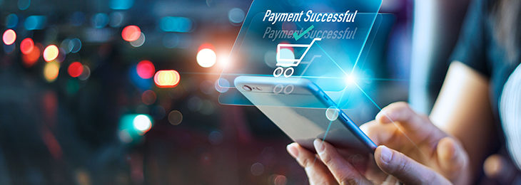 Preventing Digital Payment Systems Fraud