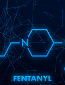 Fentanyl Precursor Chemicals Trafficking