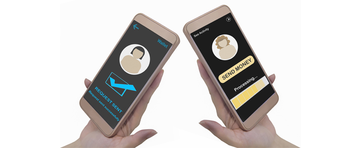 Combating P2P Payment Fraud