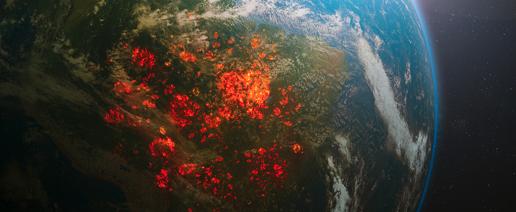 Financial crime and the destruction of the Brazilian Amazon