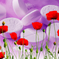 New drug trafficking typologies: A dual-market reality