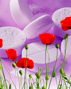 New drug trafficking typologies: A dual-market reality